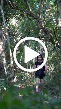 BIB:  <button type="button" onclick="openModal(28056989)" class="btn btn-primary btn-sm float-right" data-toggle="modal" data-target=".modal-high-quality">
                <i class="fa fa-download"></i> Download
                </button>